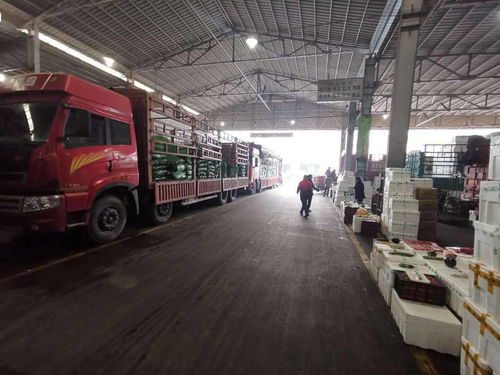 北京市農產品運入量分析 蔬果大幅增長，水產品波動穩定