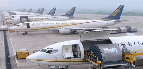 你以為他慢，那是MAN 城市配送運輸服務的精準與從容